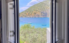 Casa Olive